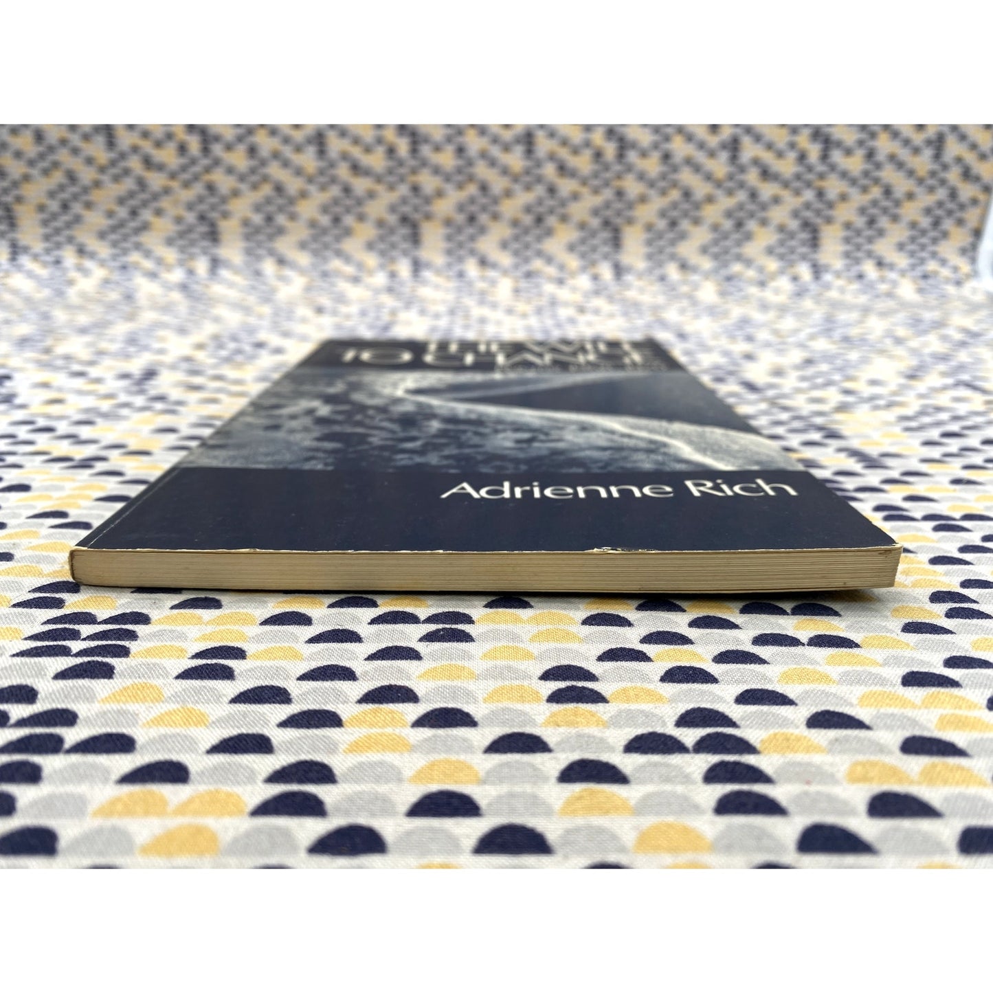 The Will To Change - Adrienne Rich - Norton - Paperback