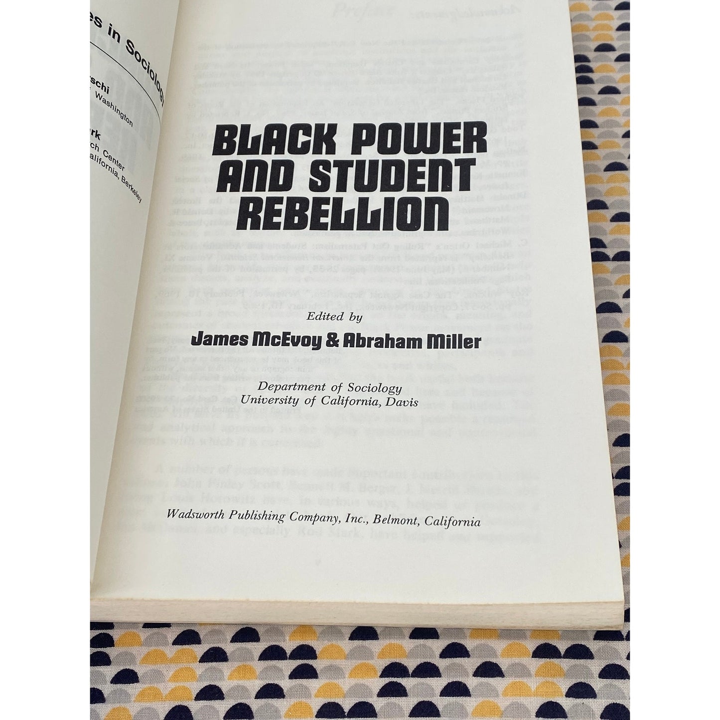 Black Power And Student Rebellion - James and Abraham McEvoy and Miller - Vintage Paperback Book - Wadsworth Edition