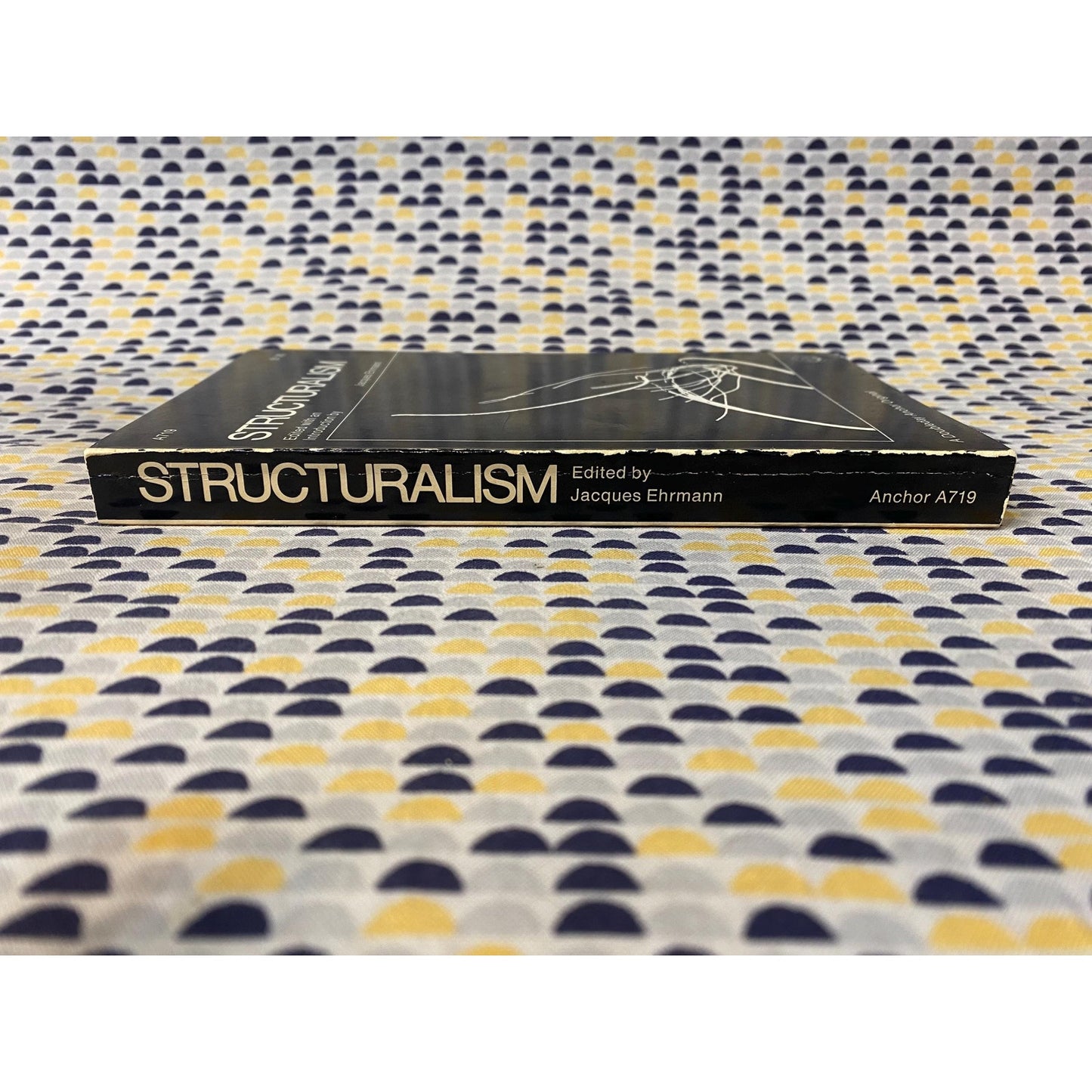 Structuralism - Edited by Jacques Ehrmann - Vintage Paperback - 1970 Anchor Books