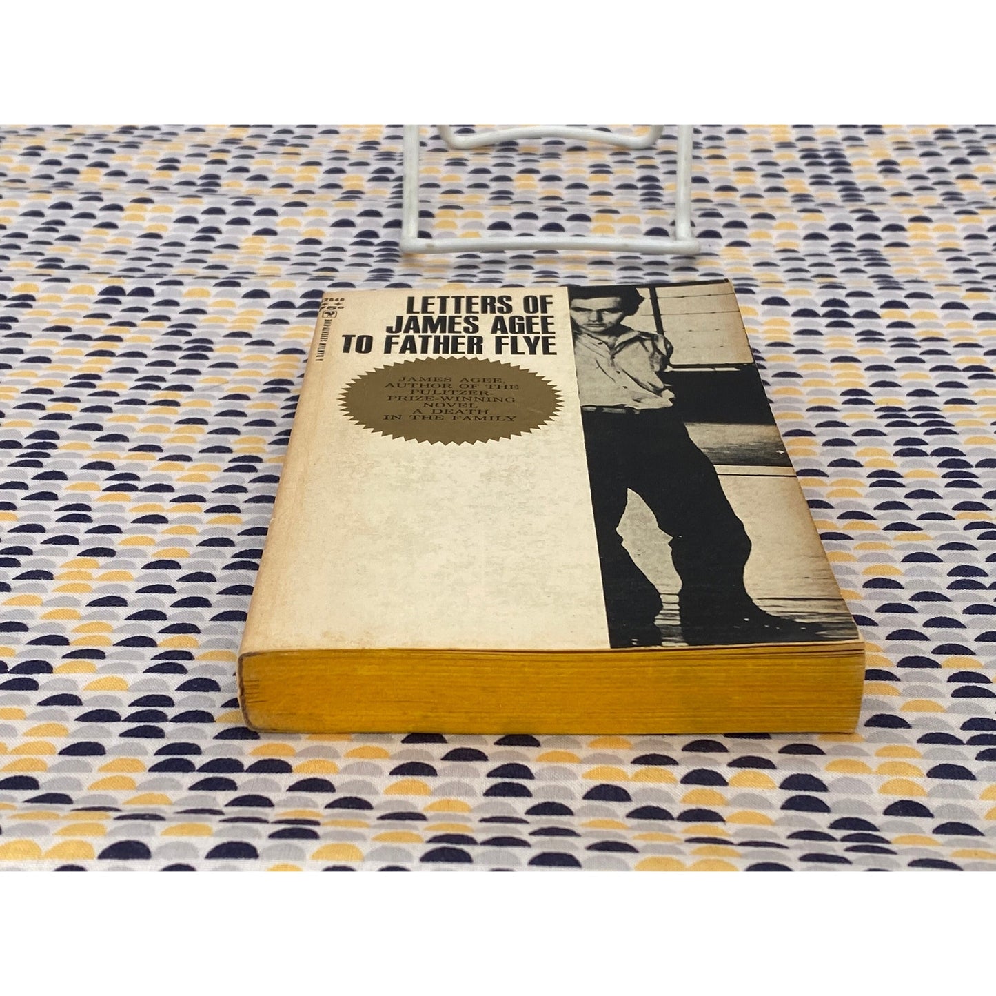 Letters of James Agee to Father Flye - Vintage Paperback Book - Bantam Edition