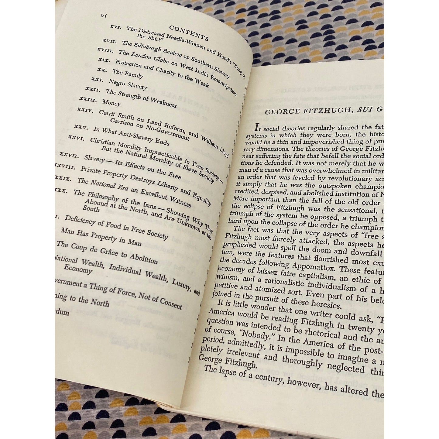 Cannibals All! Or Slaves Without Masters - George Fitzhugh - Vintage Paperback Book - Belknap/The University of Harvard Press Edition