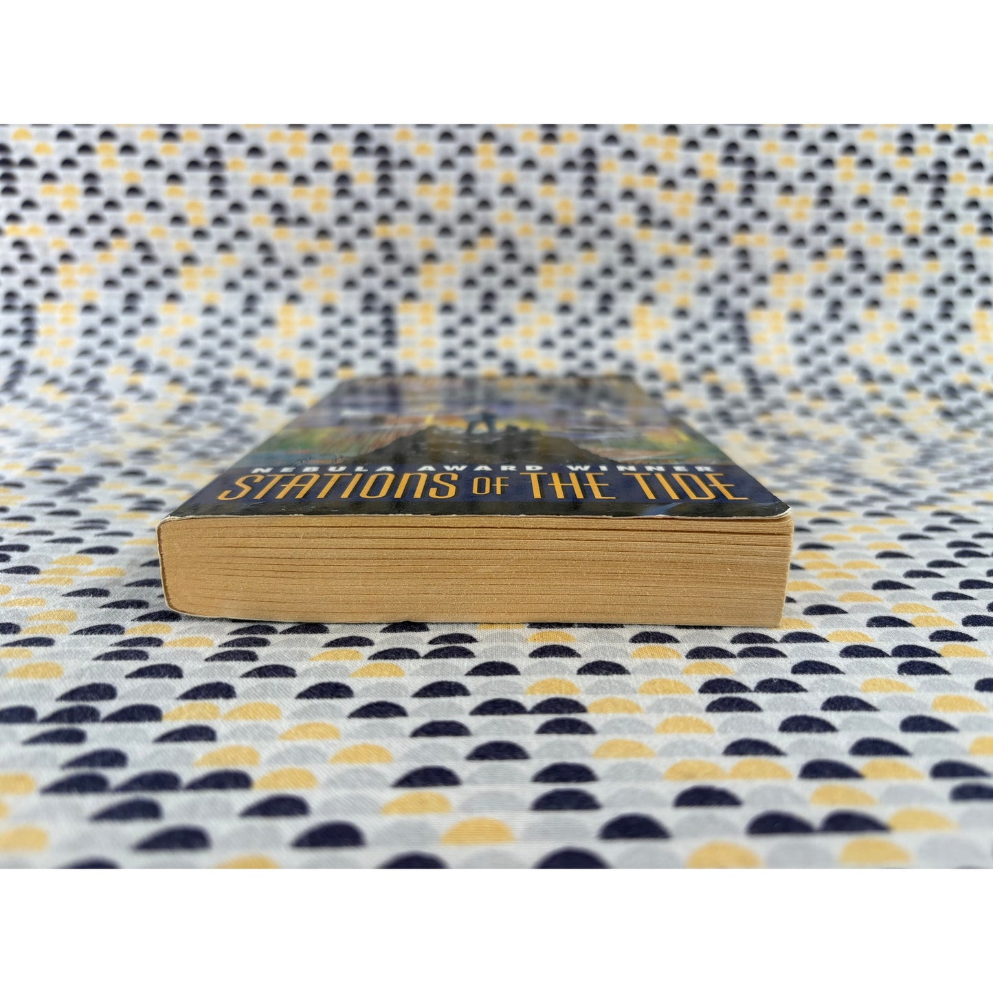 Stations Of The Tide - Michael Swanwick - EOS - Paperback