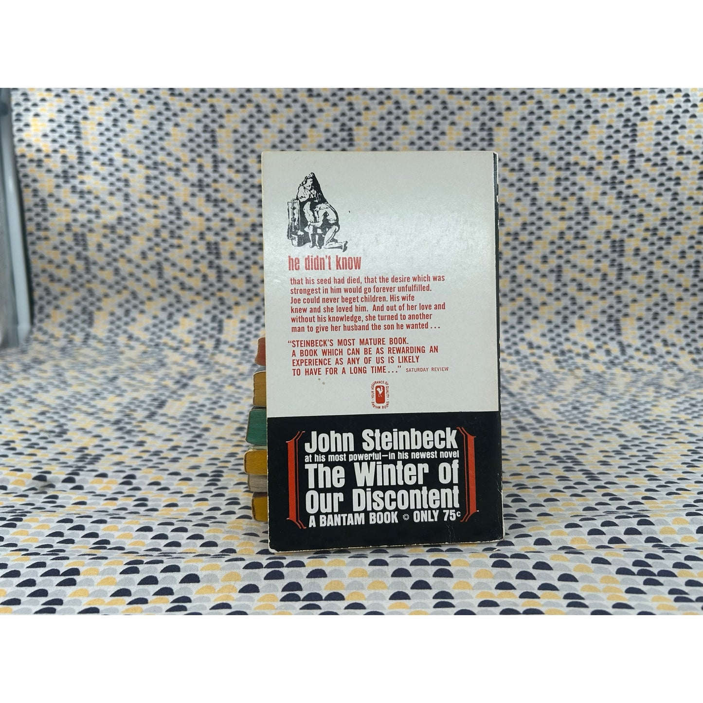 Burning Bright - John Steinbeck - Vintage Paperback Book Bantam Books Edition