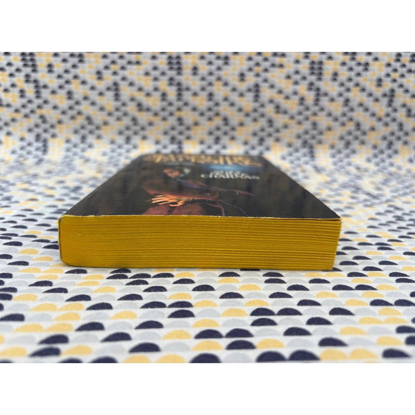 The Vampire Tapestry - Suzy McKee Charnas - Tor - Paperback