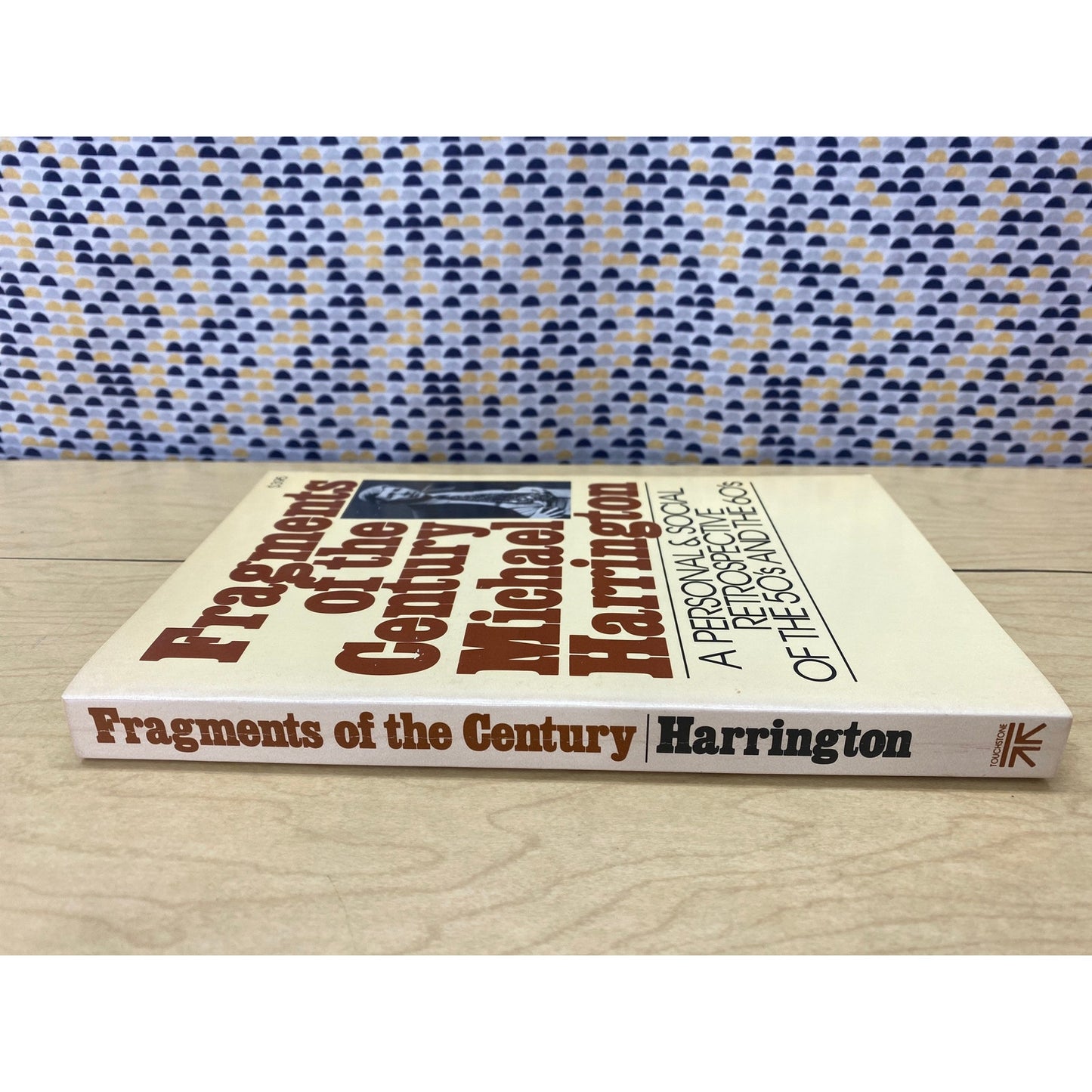 Fragments of the Century - Michael Harrington - Retrospective of the 50's and 60's - Vintage Paperback Book - Touchstone Edition