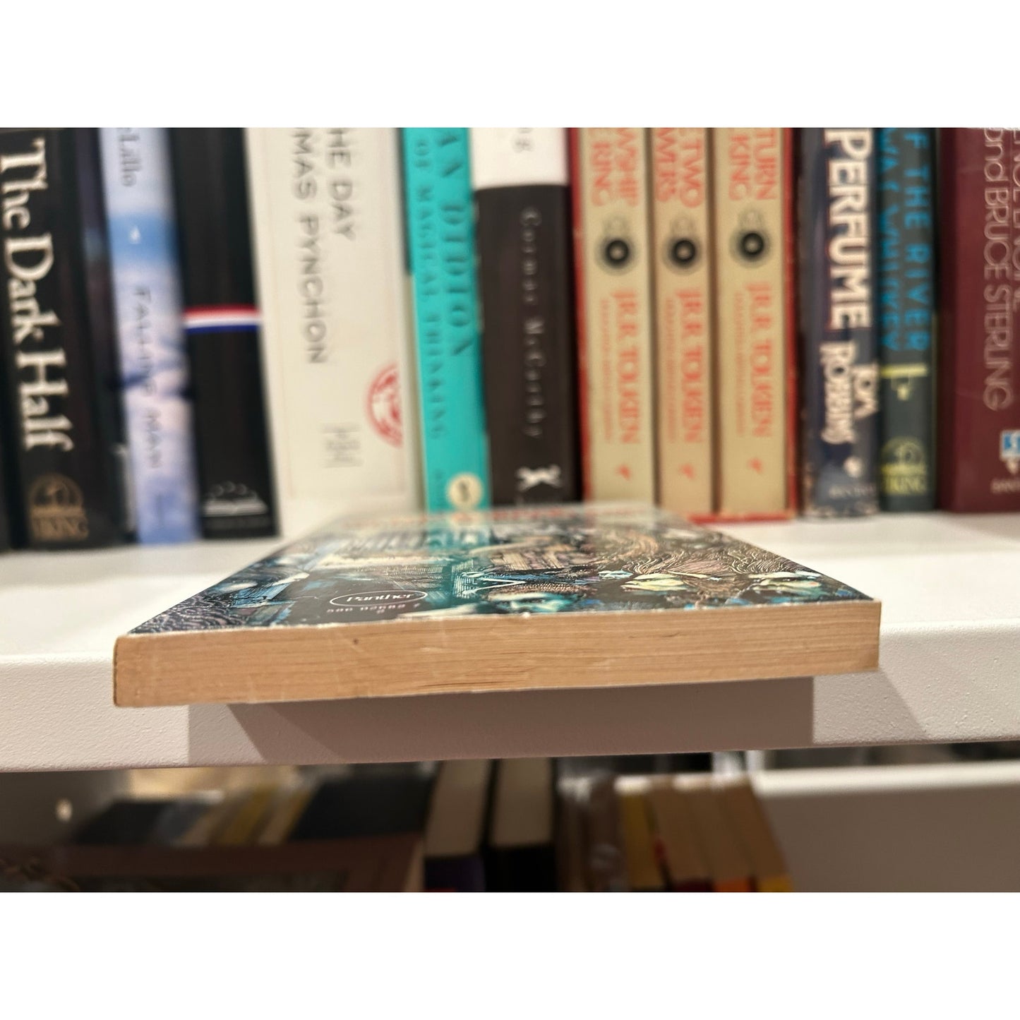 The House on the Borderland - William Hope Hodgson - Panther UK Edition