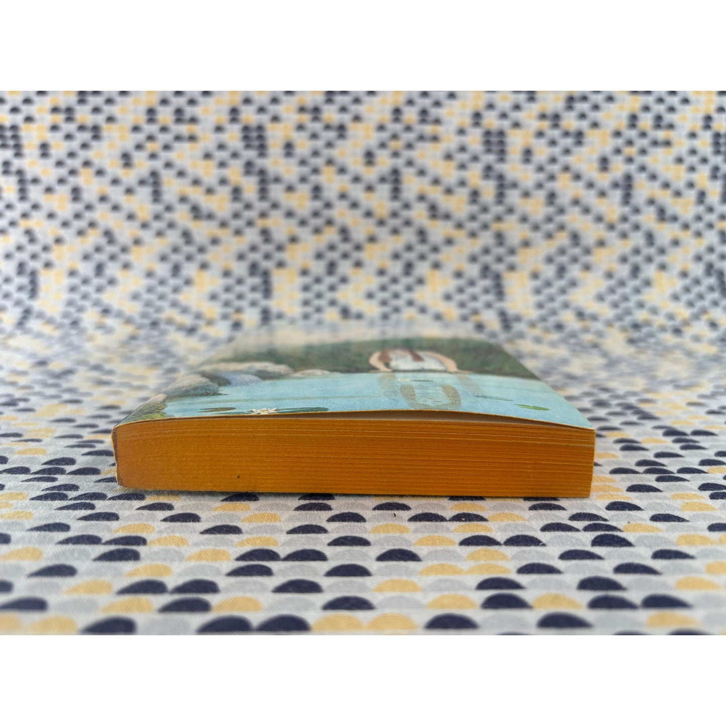 The Wood Beyond The World - William Morris - Vintage Paperback Book - Ballantine Adult Fantasy Edition