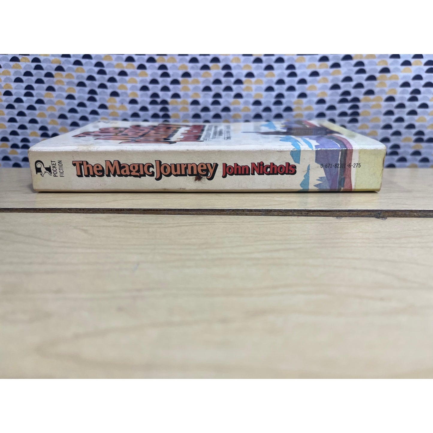 The Magic Journey - John Nichols - Pocket Books - Paperback