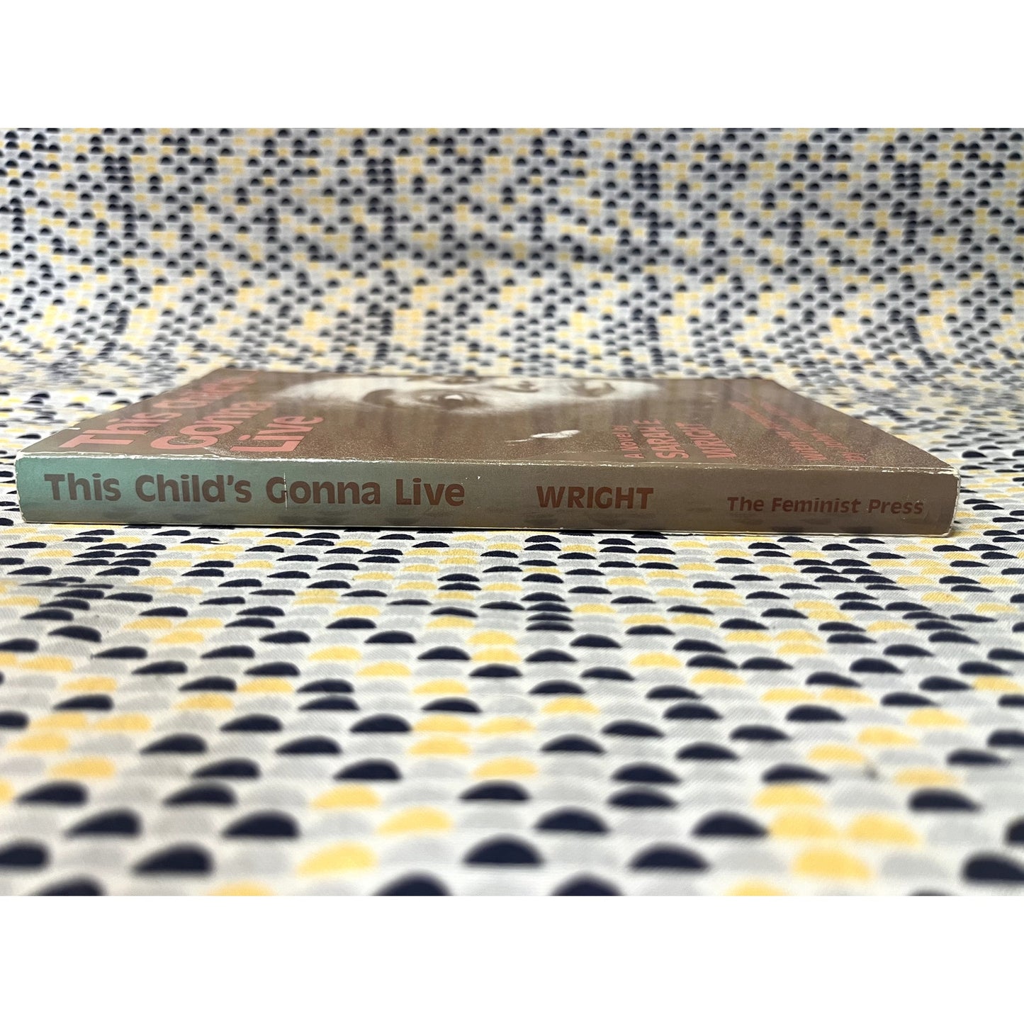 The Child's Gonna Live - Sarah E. Wright - The Feminist Press - Paperback