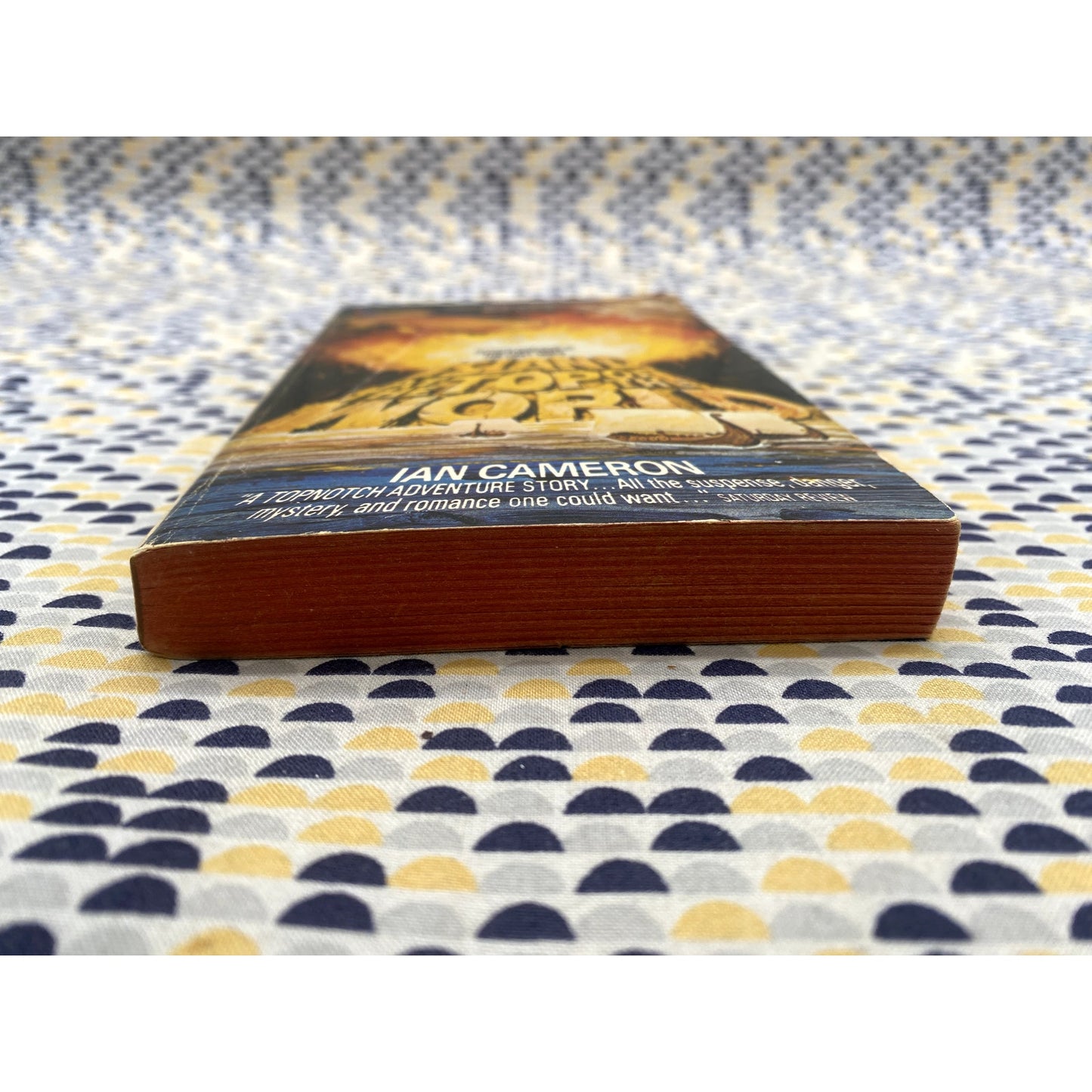 Island At The Top Of The World - Ian Cameron - Avon - Paperback - Disney