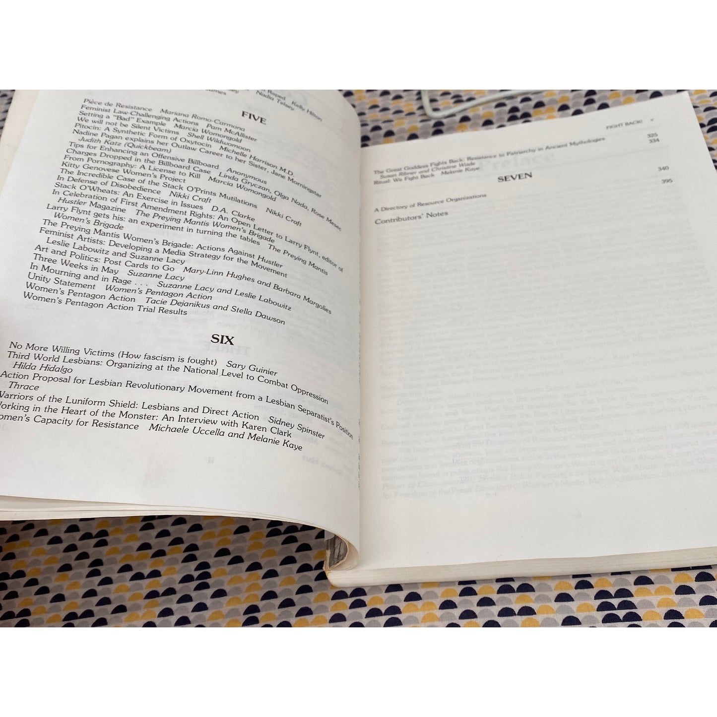 Fight Back: Feminist Resistance To Male Violence -Delacoste and Newman, editors