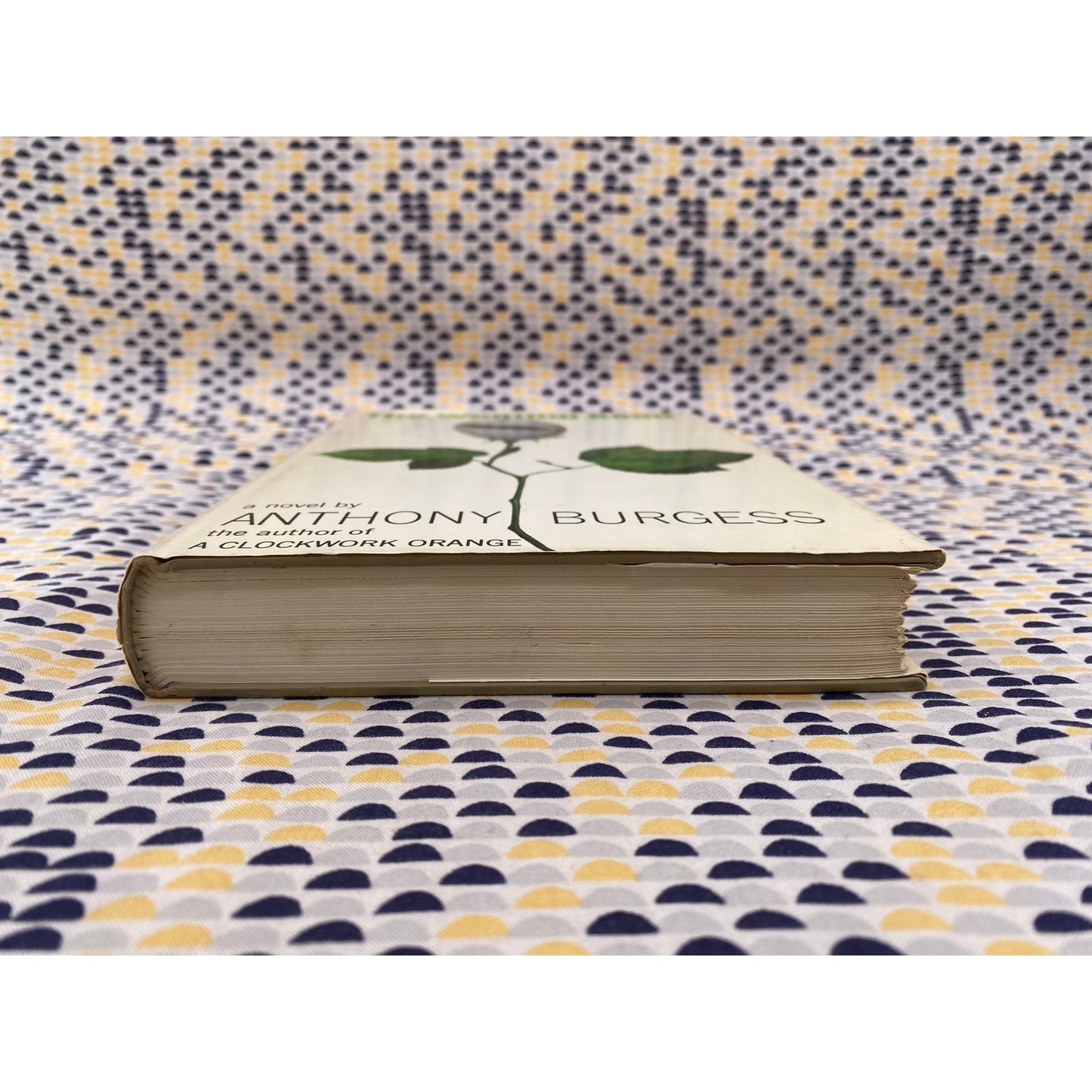 The Wanting Seed - Anthony Burgess - Norton - Hardcover - 1st American Edition