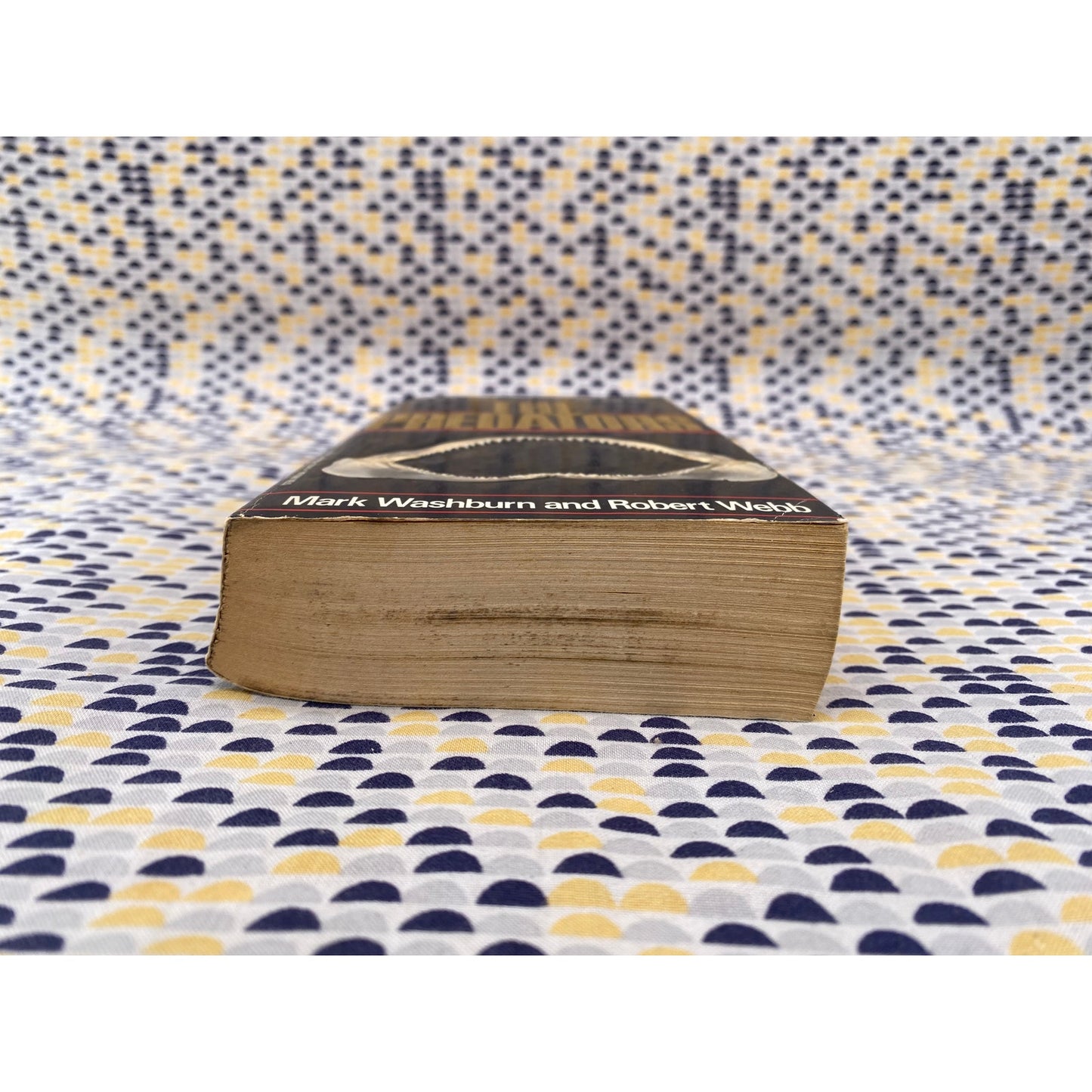 The Predators - Mark Washburn - Stein & Day - Paperback