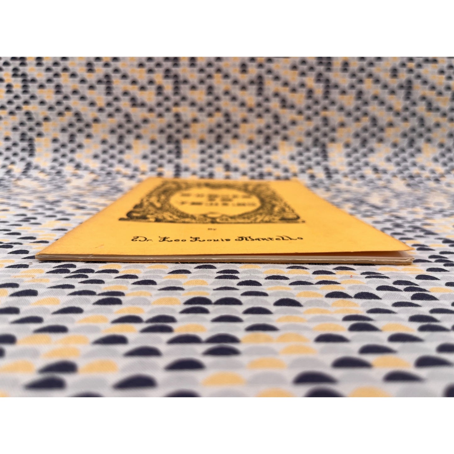 Curses in Verses - Dr. Leo Louis Martello - Paperback