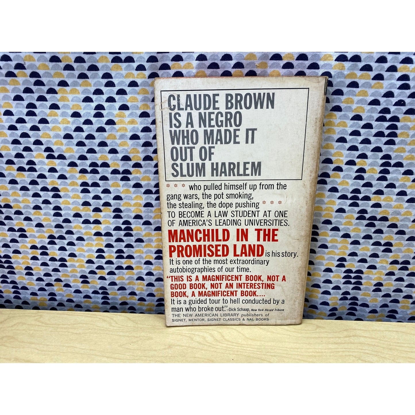 Manchild in the Promised Land - Claude Brown - Vintage Paperback- Signet Edition