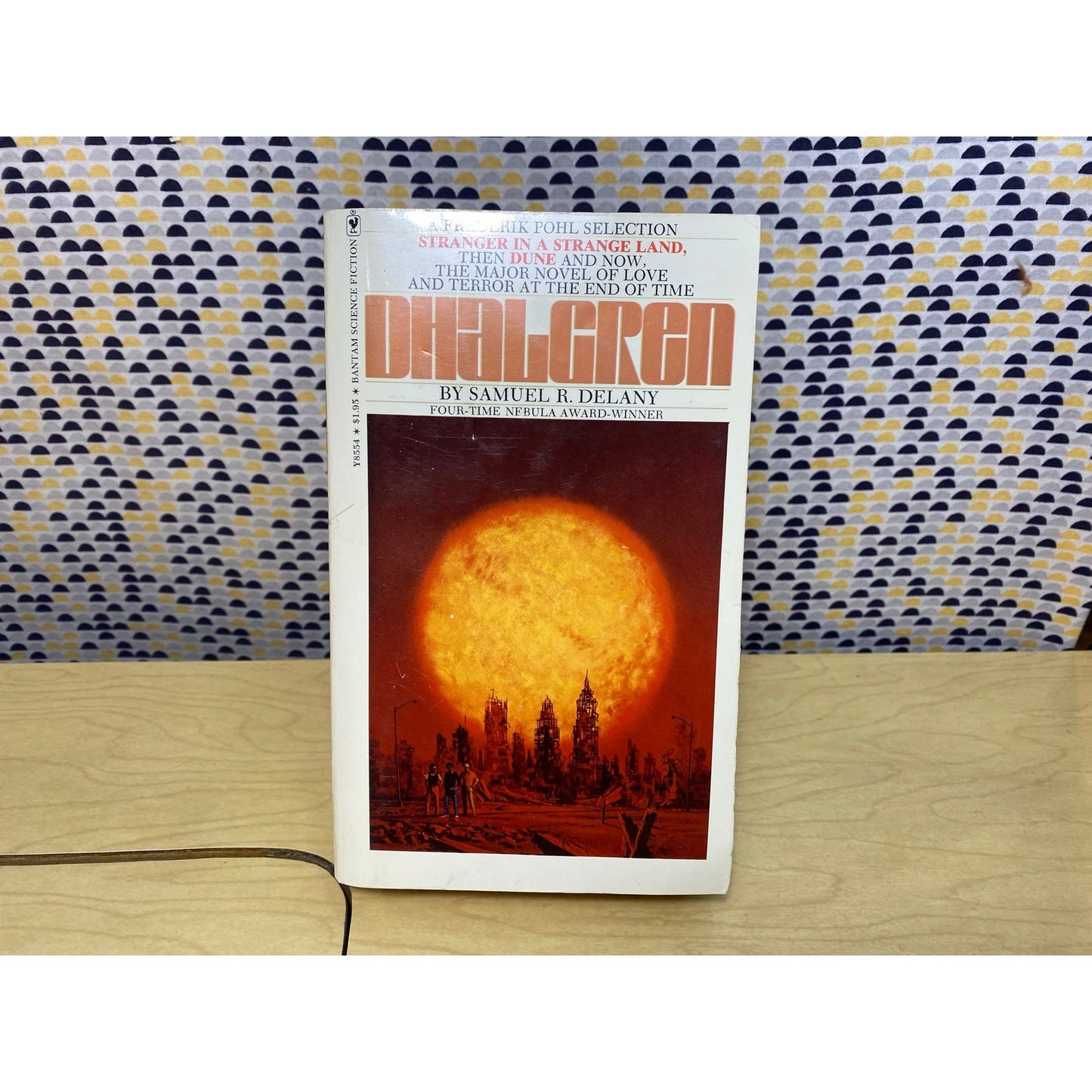 Dhalgren - Samuel R. Delany - Vintage Paperback Book - Bantam Science Fiction Edition