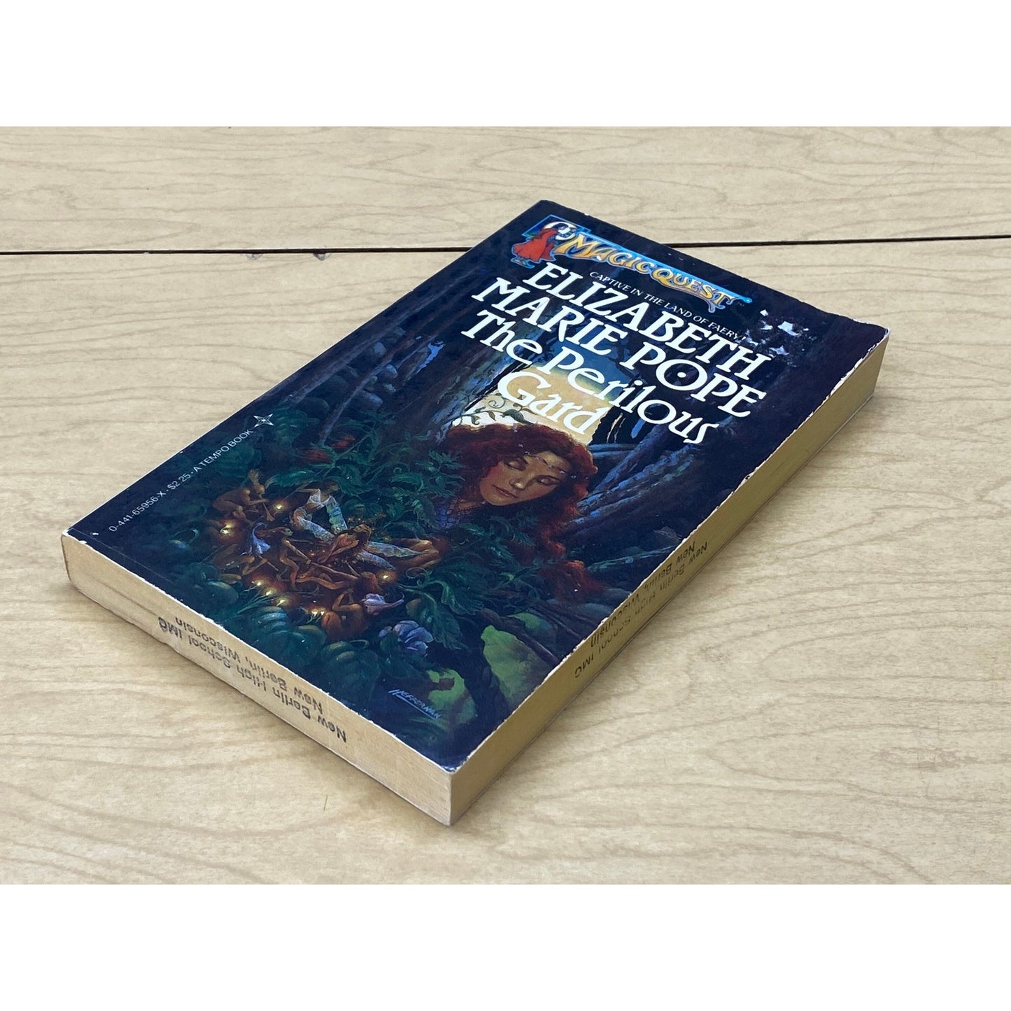 Magic Quest #2 - The Perilous Gard - Elizabeth Marie Pope - Tempo Edition