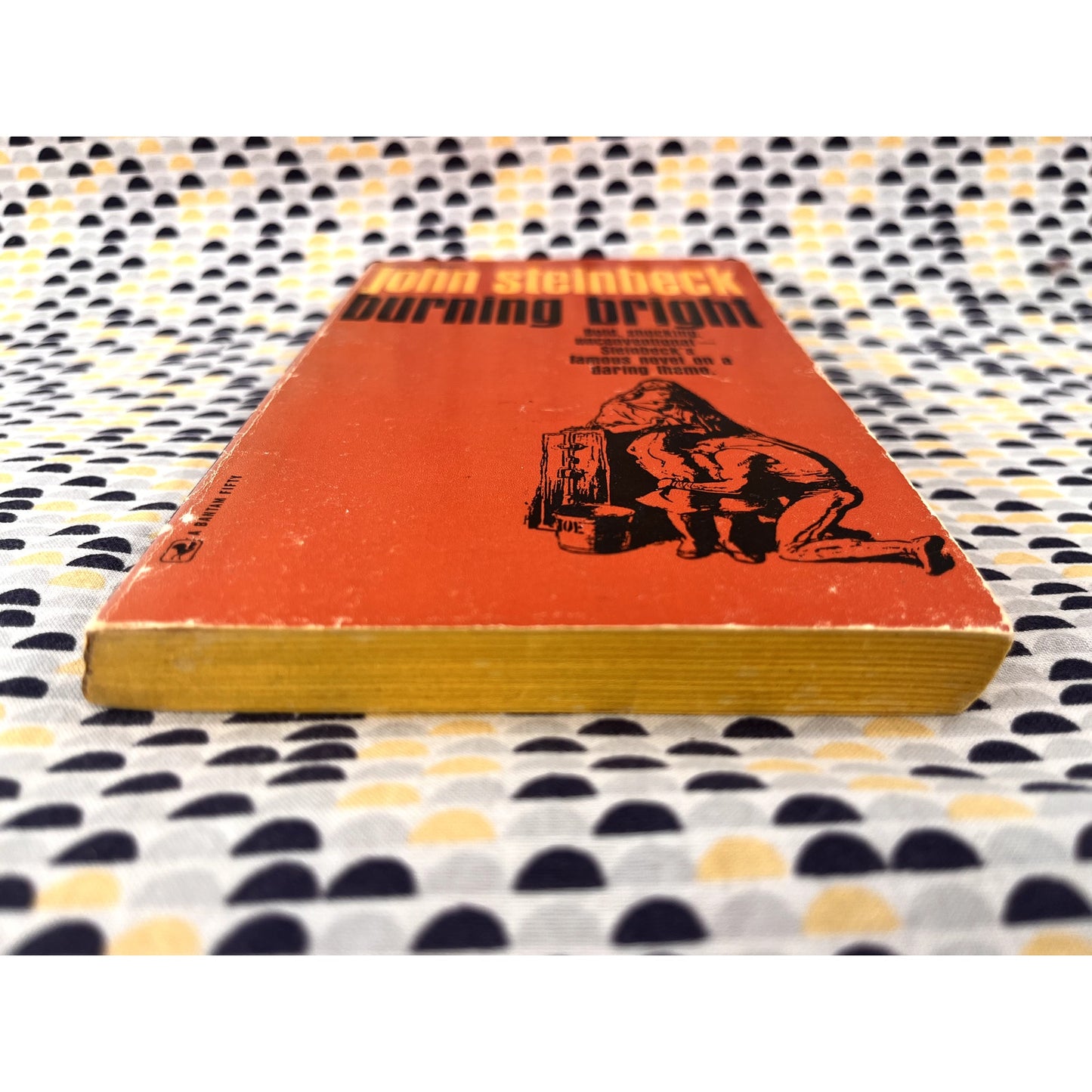 Burning Bright - John Steinbeck - Vintage Paperback Book Bantam Books Edition