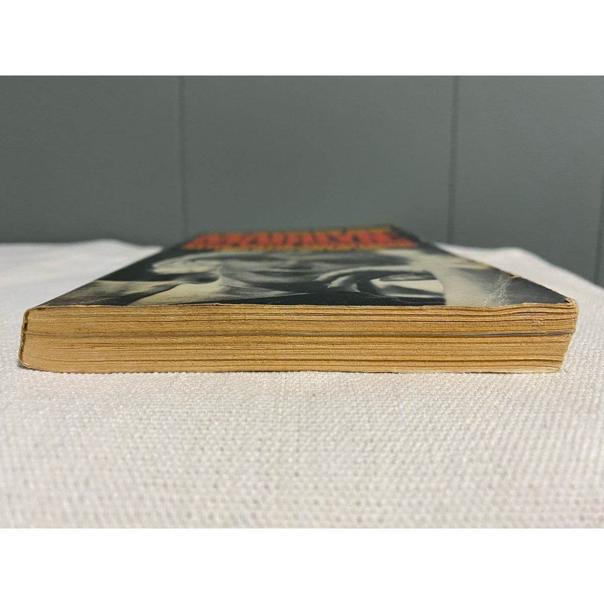 Marilyn: The Last Months - Eunice Murray with Rose Shade - Pyramid- Vintage Paperbacks