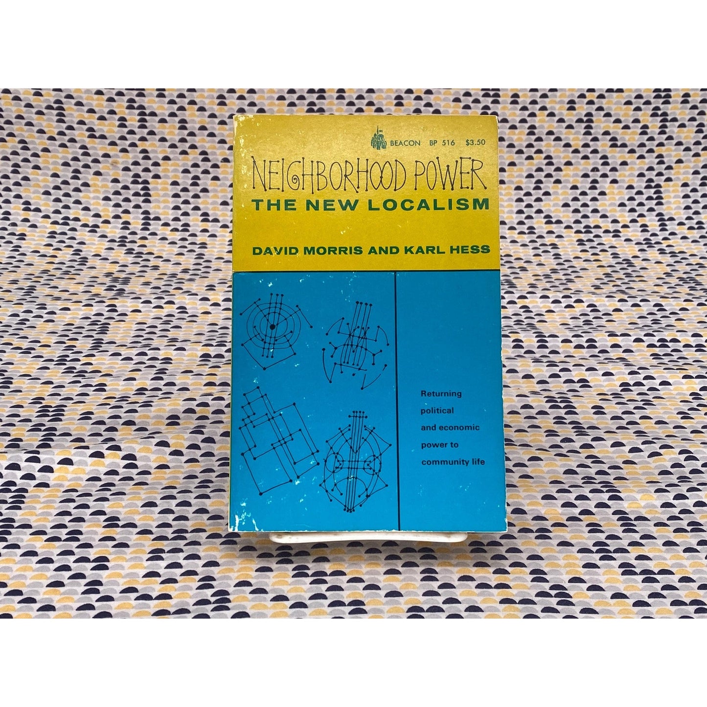 Neighborhood Power: The New Localism - David and Karl Morris and Hess - Vintage Paperback Book - Beacon Press Edition