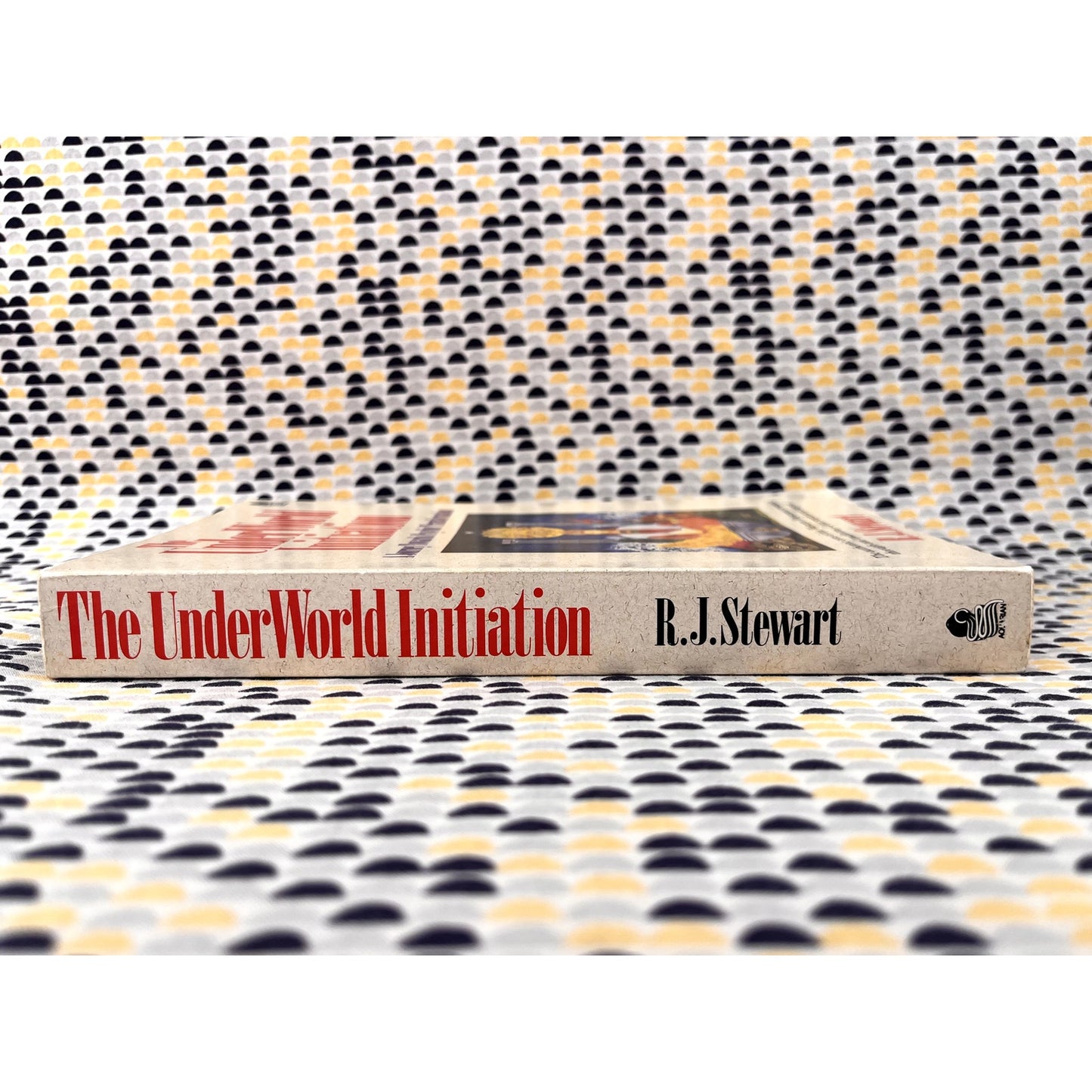 The Under World Initiation : A Journey Towards Psychic Transformation - Paperback