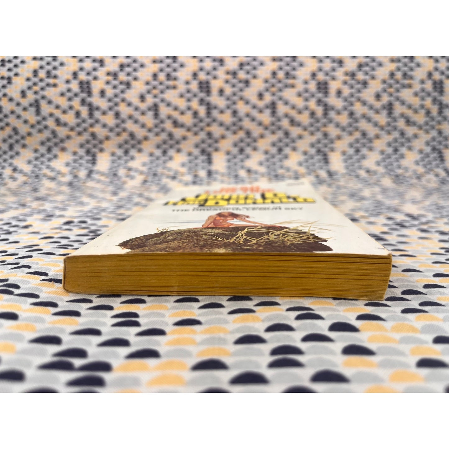 Dead Low Tide - John D. MacDonald - Fawcett Gold Medal - Paperback