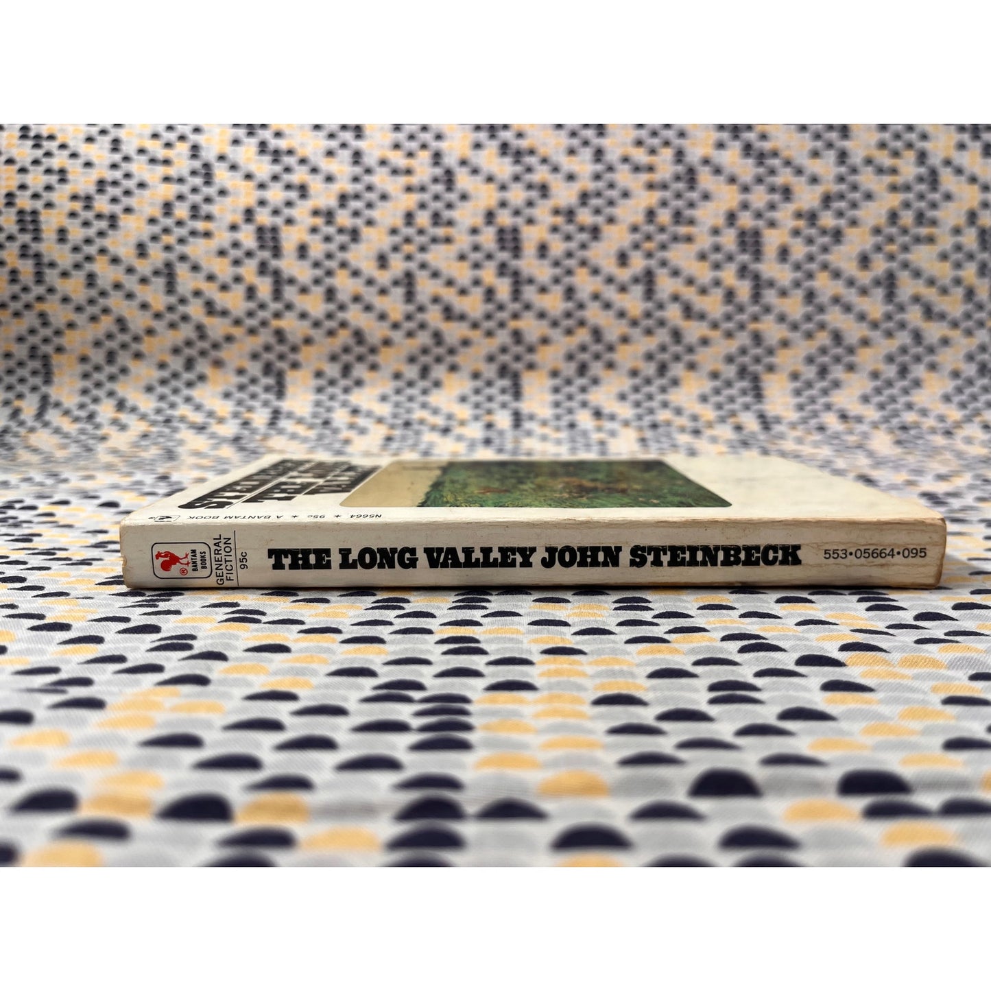 The Long Valley - John Steinbeck - Bantam Books - Paperback