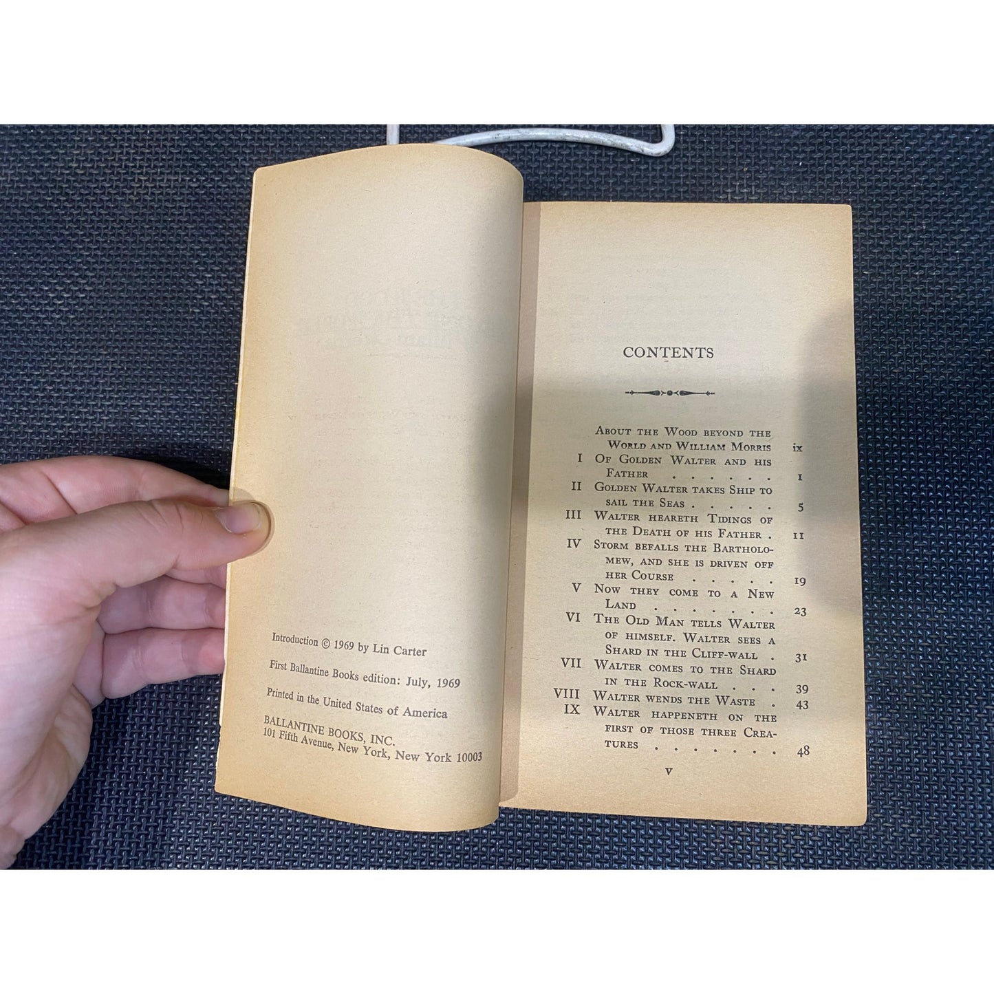 The Wood Beyond The World - William Morris - Vintage Paperback Book - Ballantine Adult Fantasy Edition
