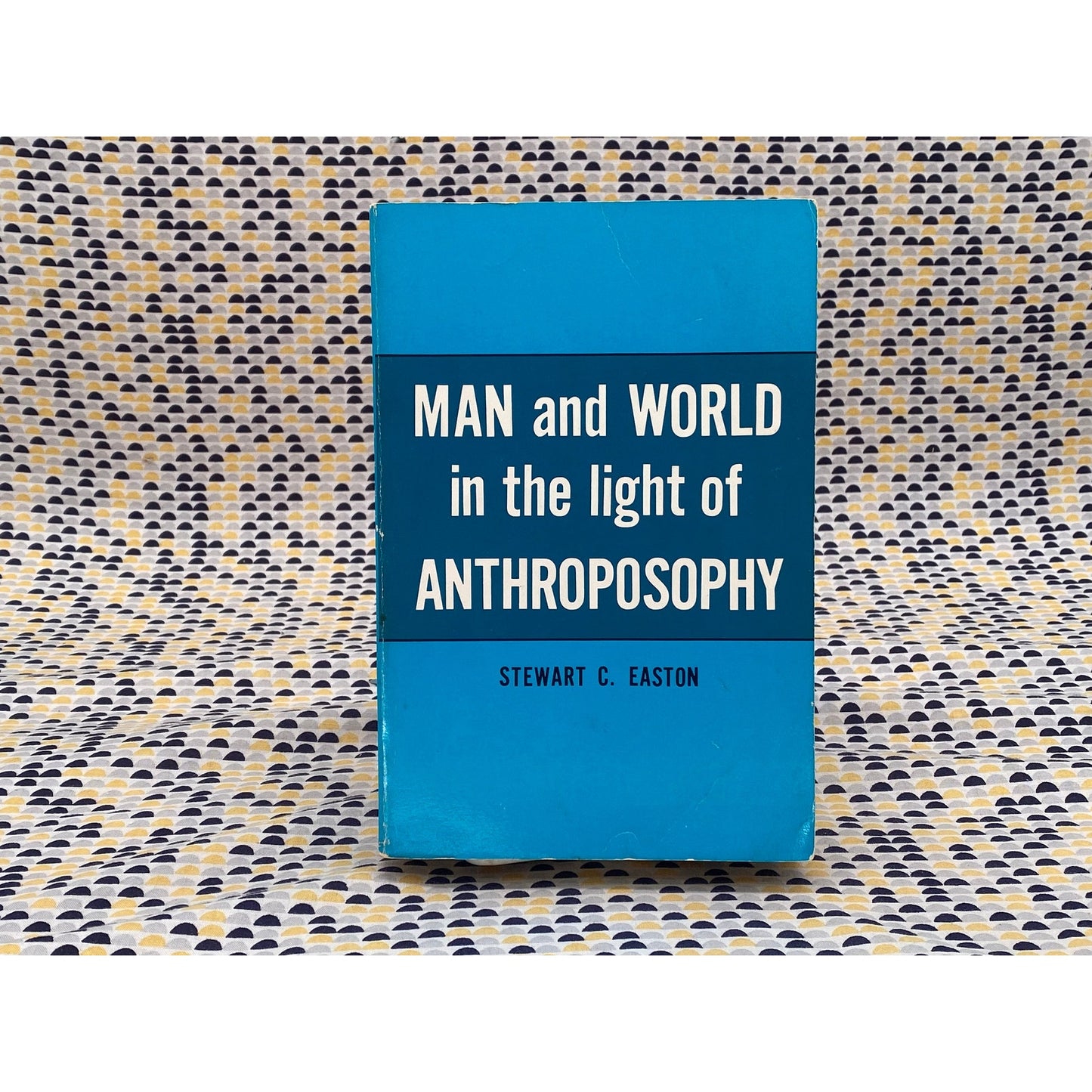 Man And The World In The Light Of Anthroposophy - Stewart C. Easton