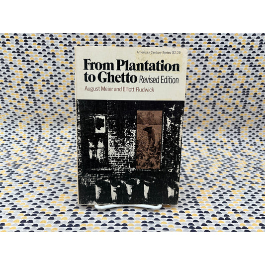 From Plantation To Ghetto: An Interpretive History Of American Negroes - Meier and Rudwick - Vintage Paperback Book - Hill and Wang Edition