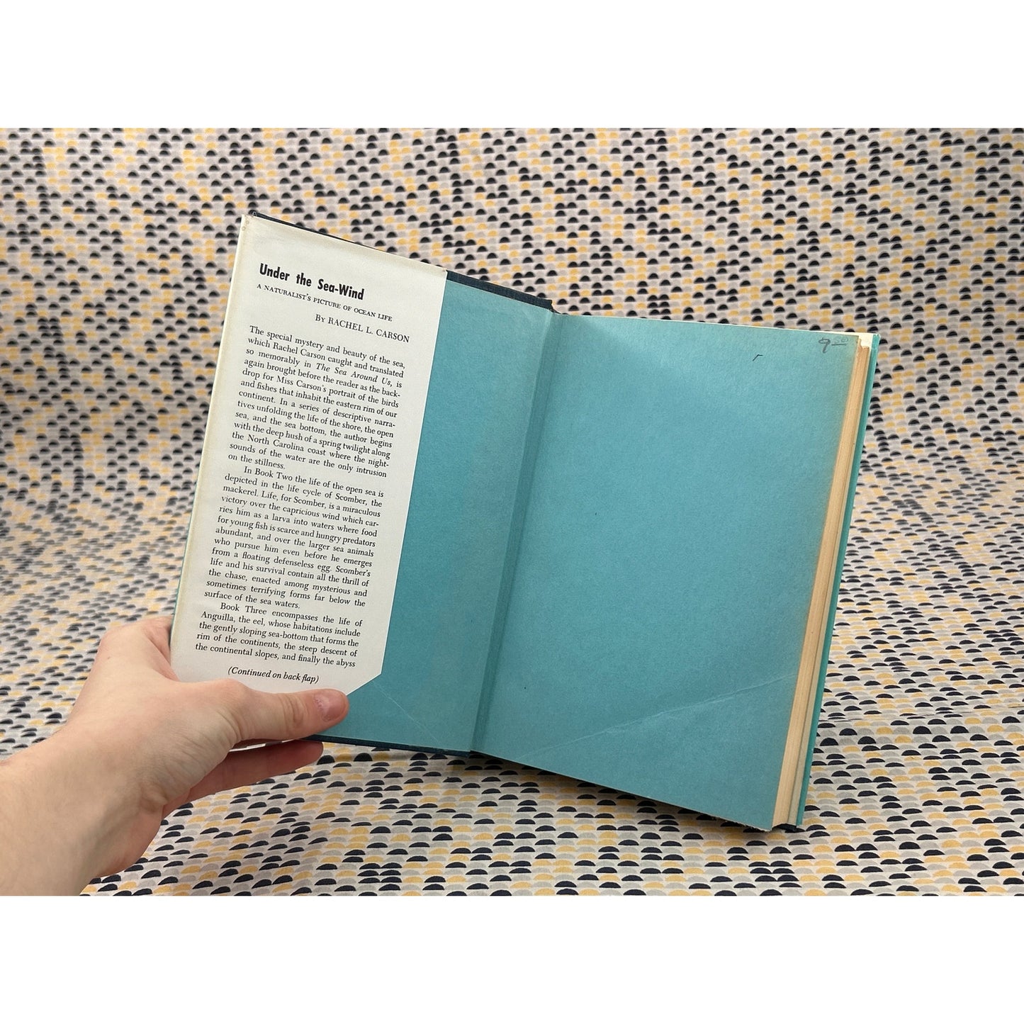 Under the Sea-Wind - Rachel Carson - Oxford University Press - Hardcover