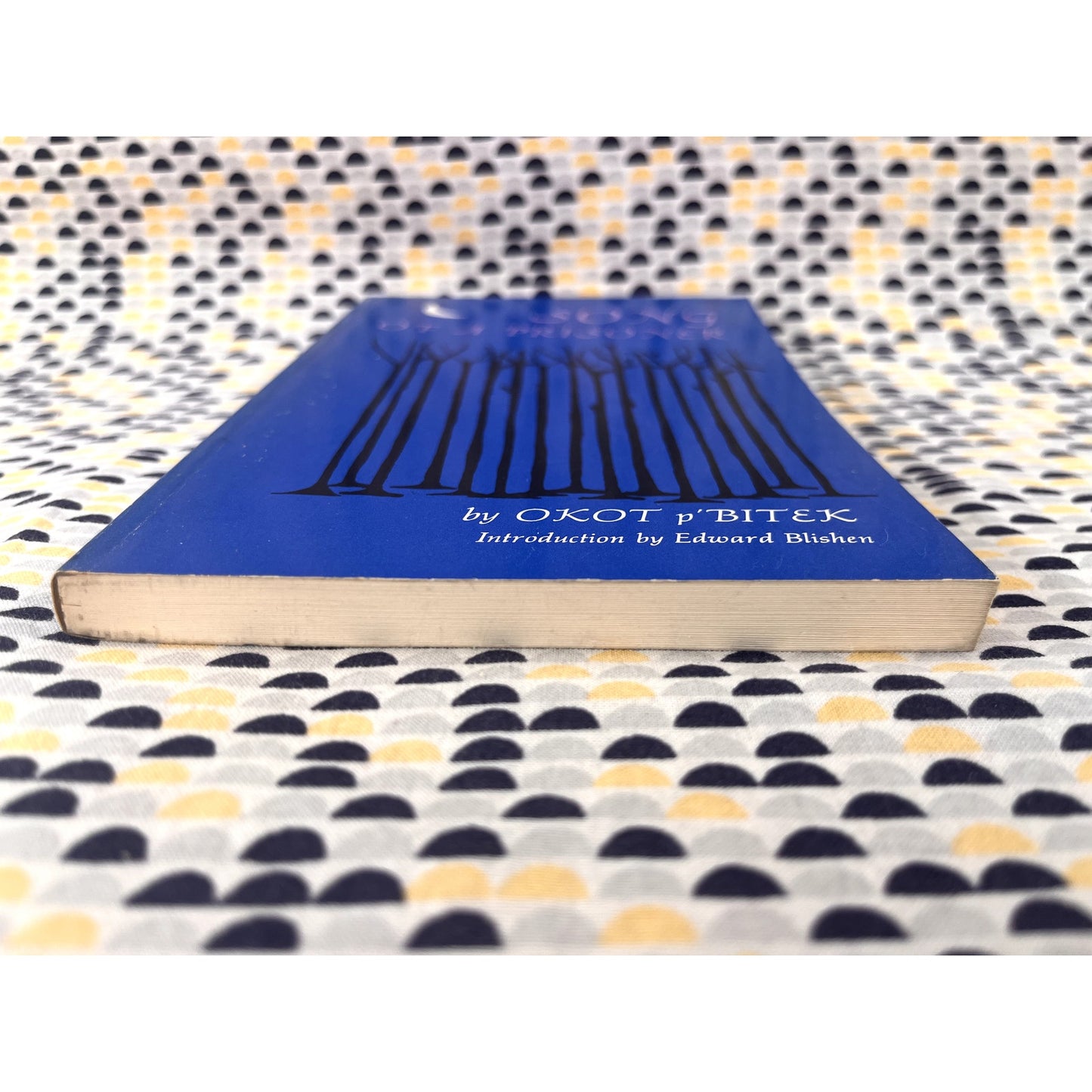 Song of a Prisoner - Okot p'Bitek - Bitek - The Third Press - Paperback