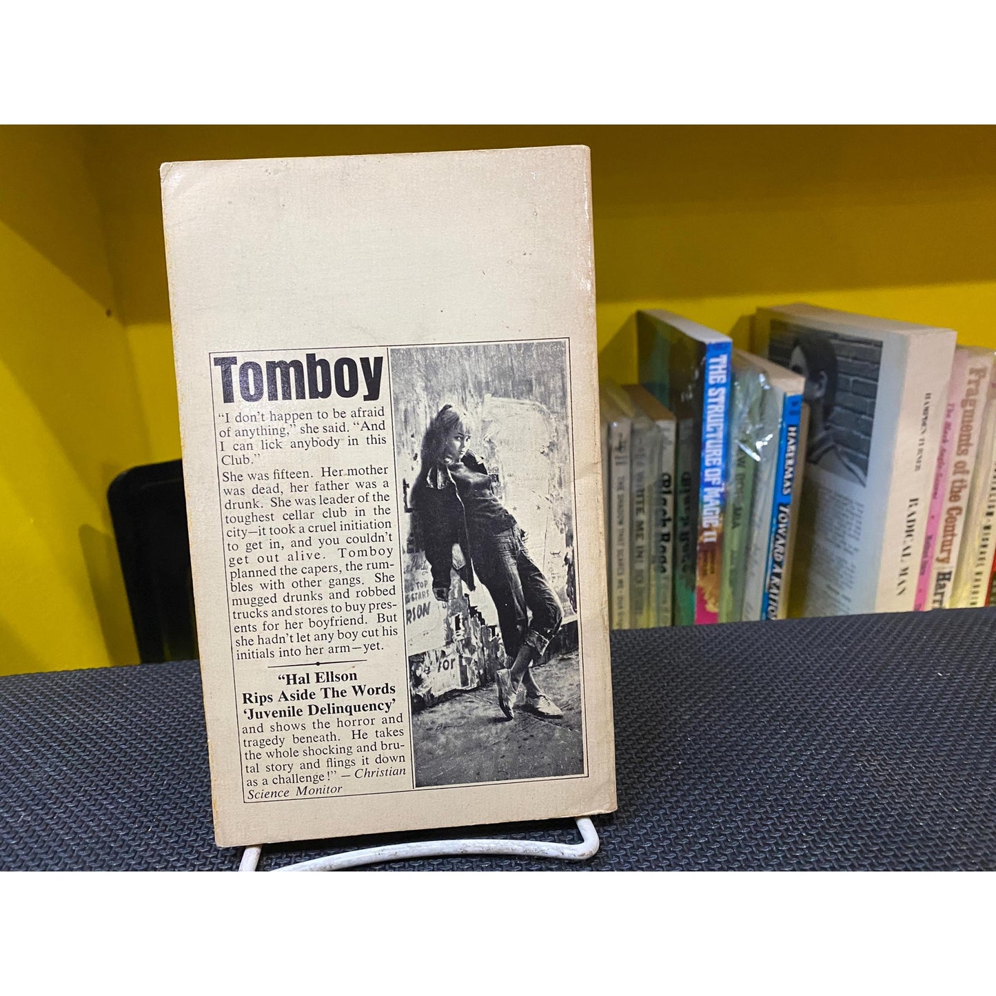 Tomboy - Hal Ellson - The Famous Novel of Juvenile Delinquency - Vintage Paperback Book - Bantam Edition