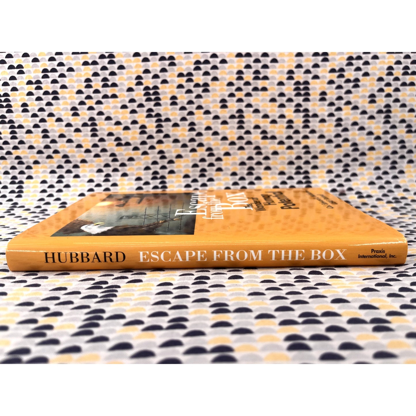 Signed - Escape from the Box: The Wonder of Human Potential - Col. Edward L. Hubbard USAF - Praxis Books - Hardcover