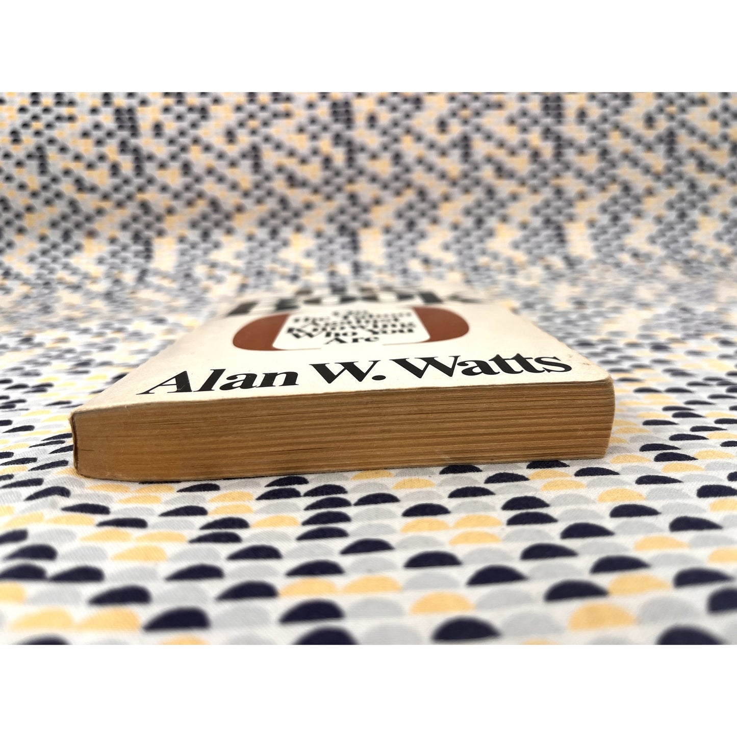 The Book On the Taboo Against Knowing Who You Are - Alan W. Watts - Collier Books - Paperback