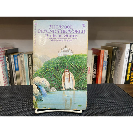 The Wood Beyond The World - William Morris - Vintage Paperback Book - Ballantine Adult Fantasy Edition