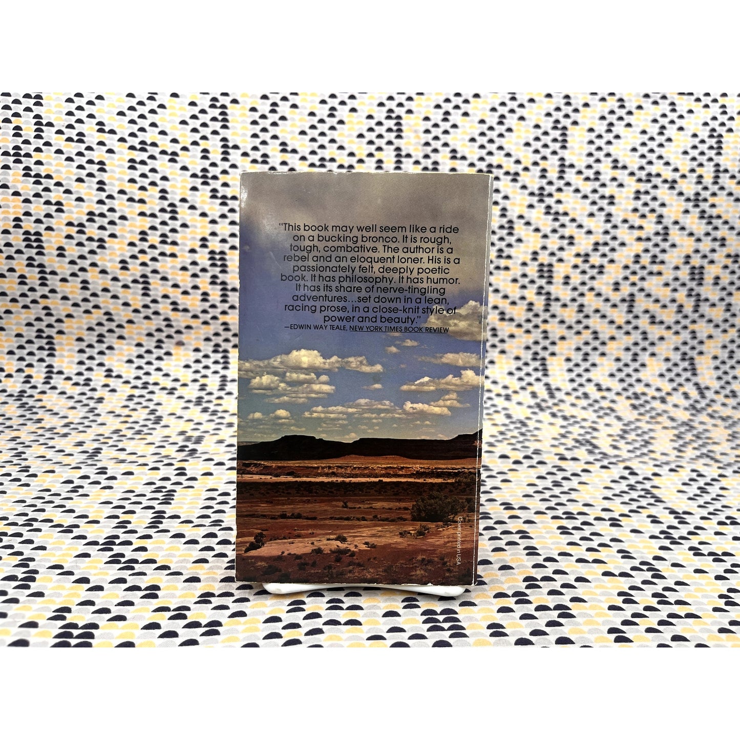 Desert Solitaire - A Season in the Wilderness - Edward Abbey - Vintage Paperback Book