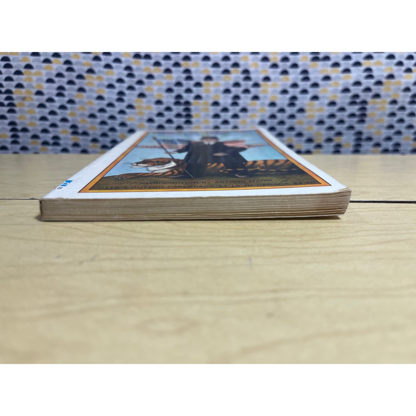 Plunkitt of Tammany Hall - William L. Riordon - Dutton Books - Paperback