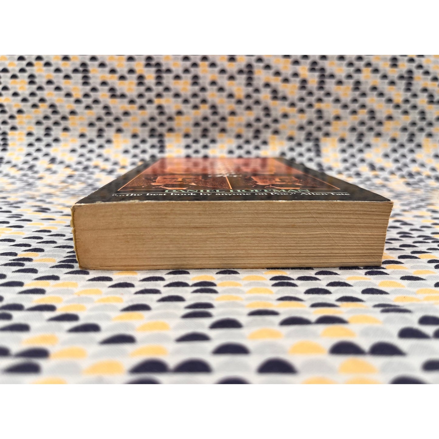 Poe - Daniel Hoffman - Avon Books