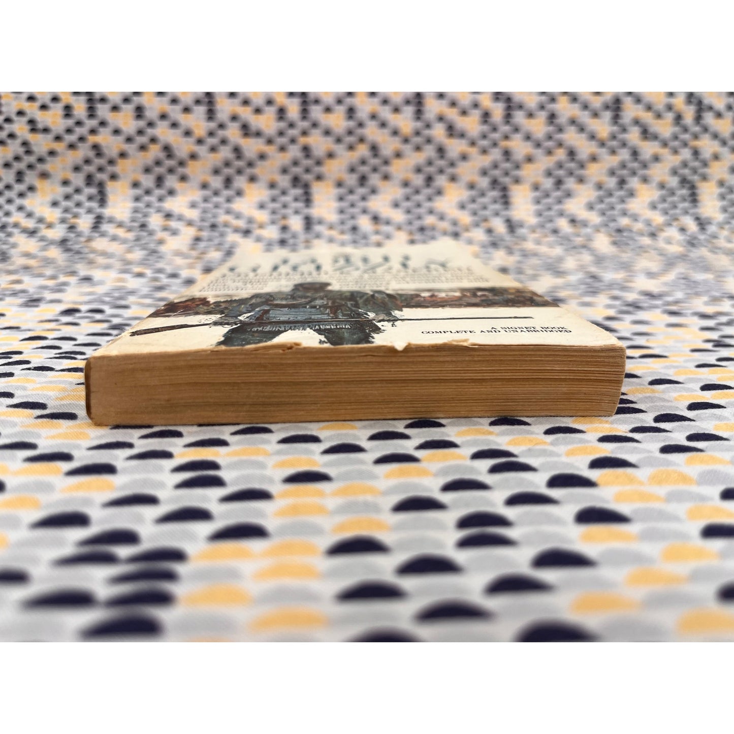 Lord Grizzly - Frederick Manfred - Signet Books - Paperback