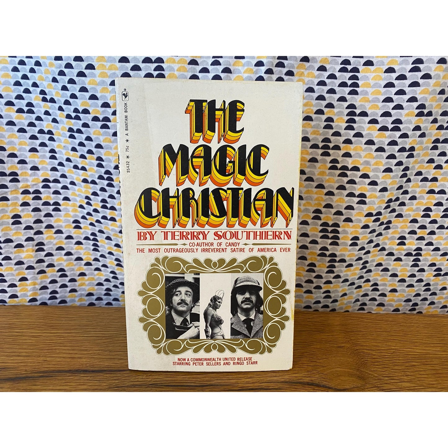 The Magic Christian - Terry Southern - Vintage Paperback - Bantam Edition