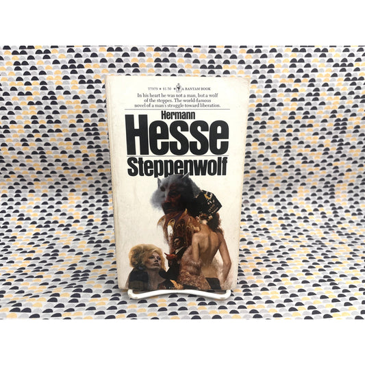 Steppenwolf -  Hermann Hesse - Bantam Edition - Paperback
