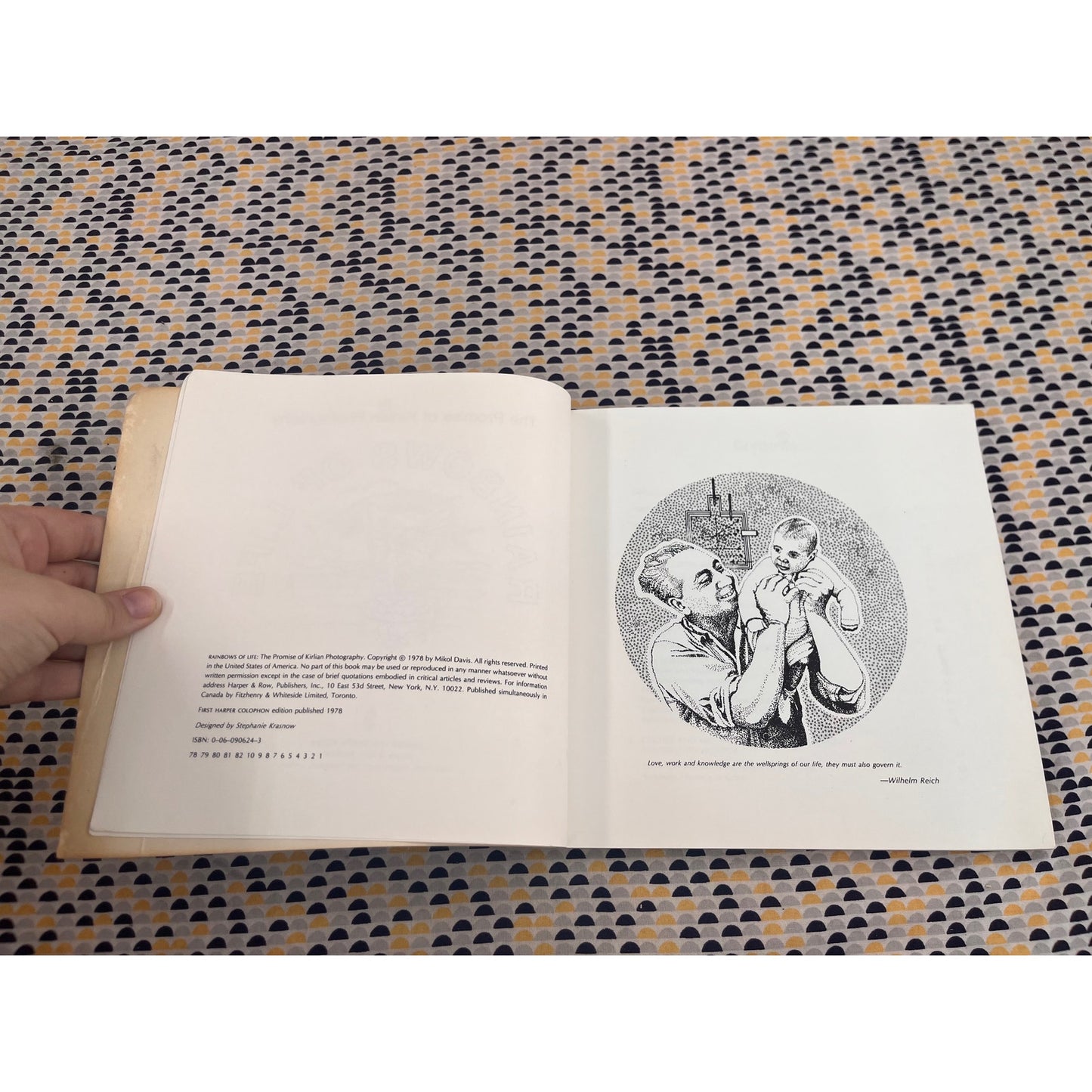 Rainbows of Life - Mikol Davis & Earle Lane - Harper Colophon Books - Paperback