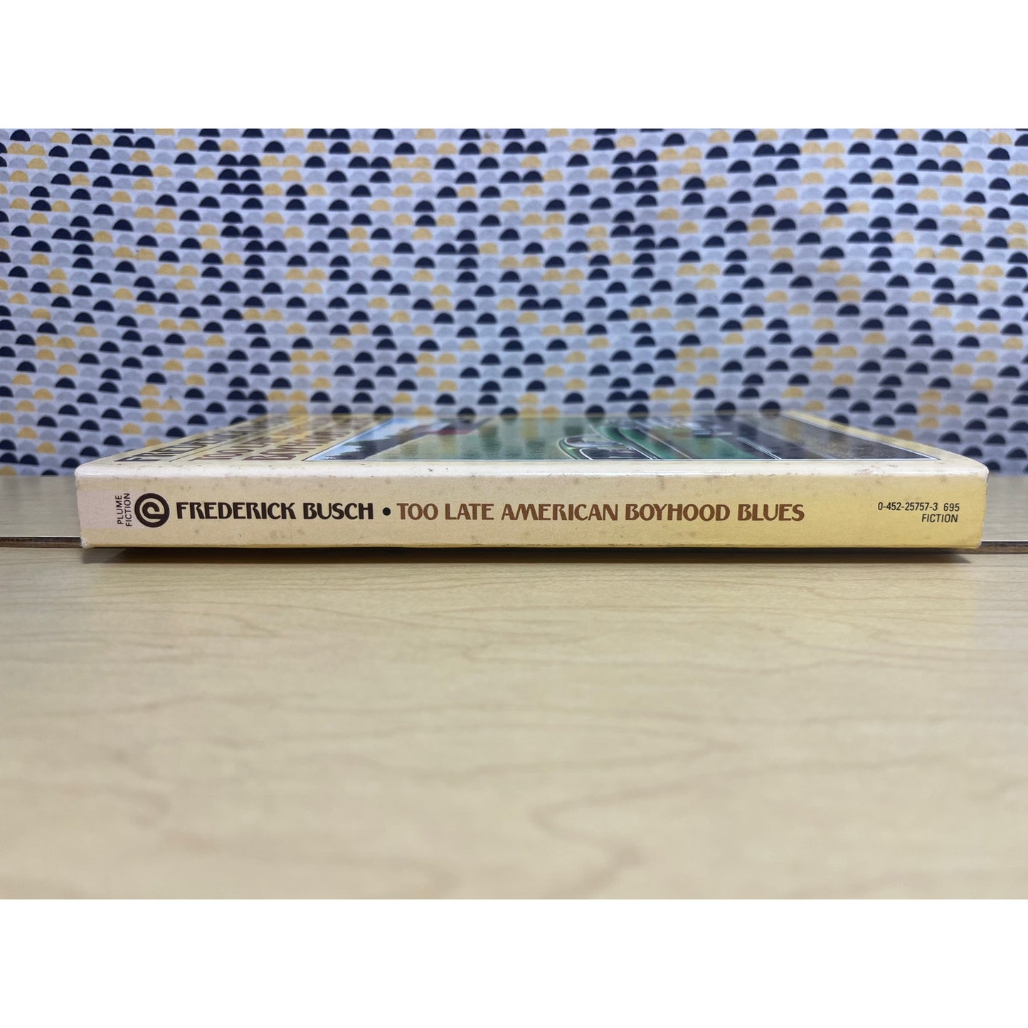 Too Late American Boyhood Blues - Frederick Busch - Plume Books - Paperback