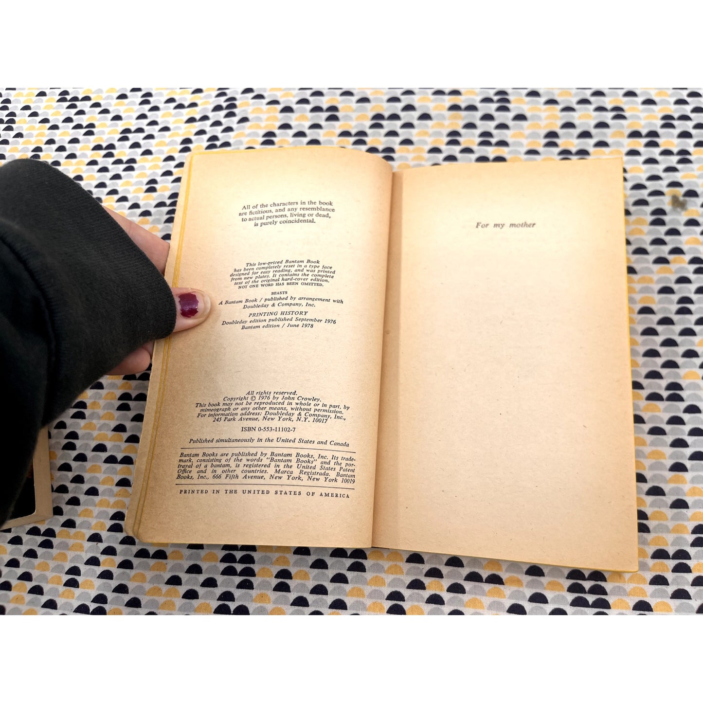 Beasts - John Crowley - Bantam Books - Paperback