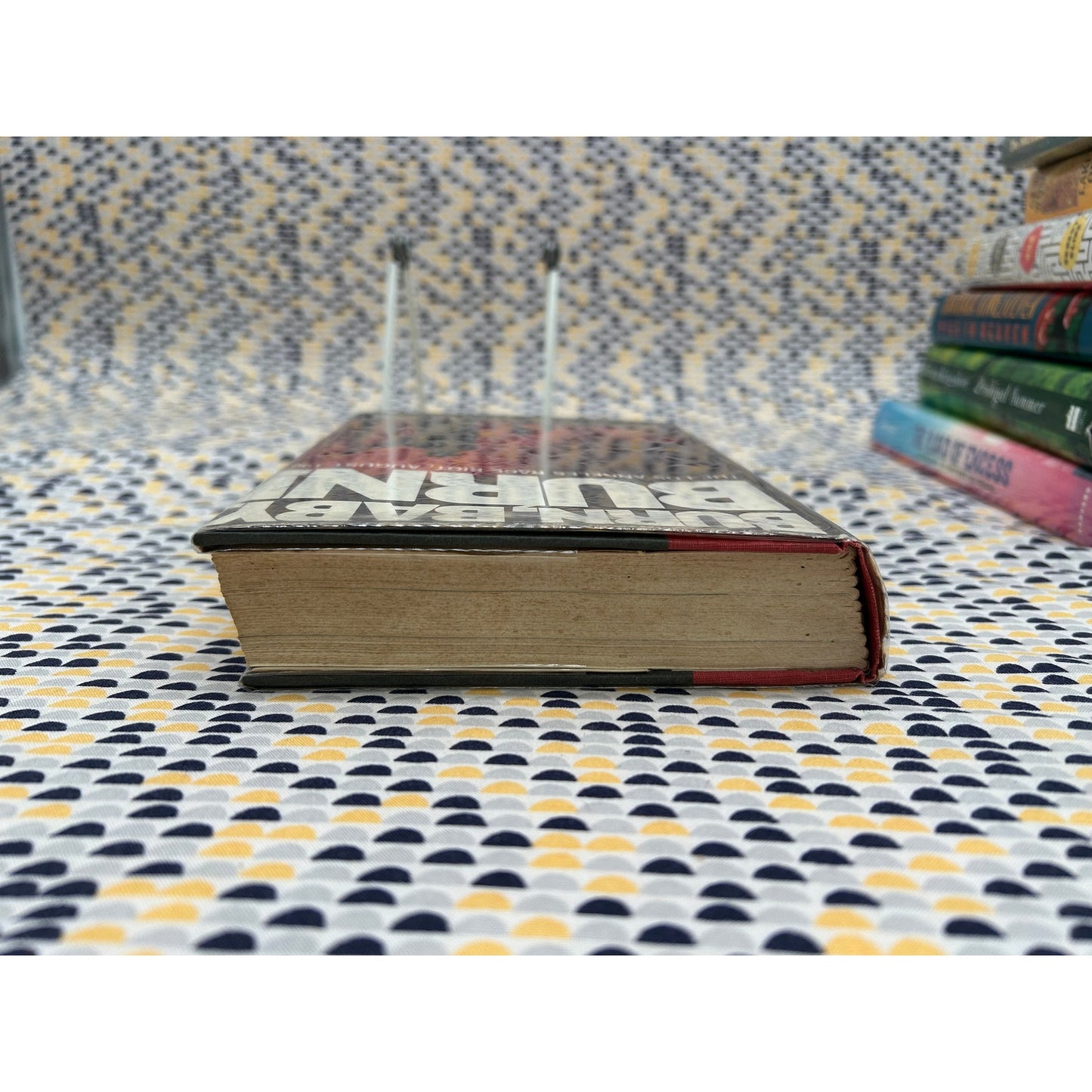 Burn, Baby, Burn! - The Watts Riot - Jerry Cohen and William Murphy - Vintage Hardcover Book - Dutton Edition