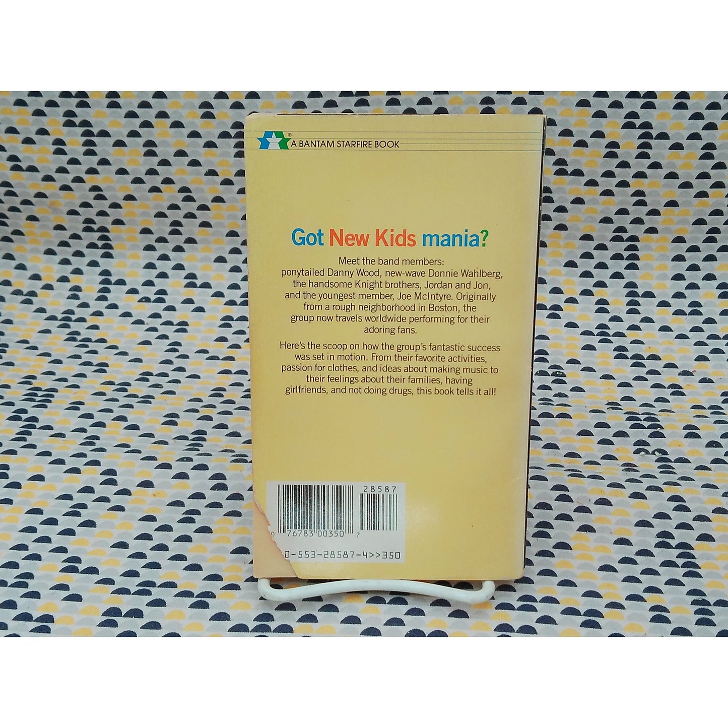 New Kids On The Block - Grace Catalano - Vintage Paperback Book - Bantam Edition