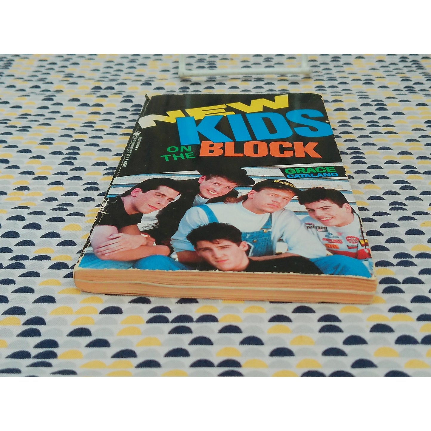 New Kids On The Block - Grace Catalano - Vintage Paperback Book - Bantam Edition