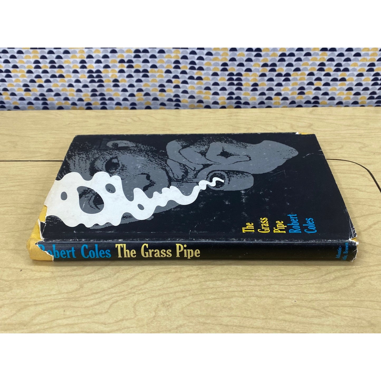 The Grass Pipe - Robert Coles - Vintage Hardcover Book - 1969 Little, Brown and Co