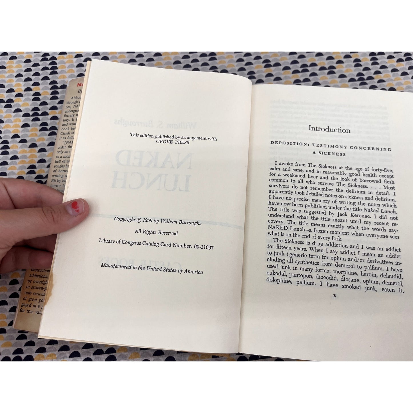 Naked Lunch - William Burroughs - Castle Books - Hardcover